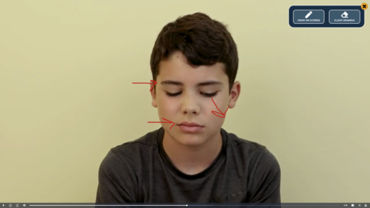 Utilize the digital pen to guide discussion and learning in remote learning environments.